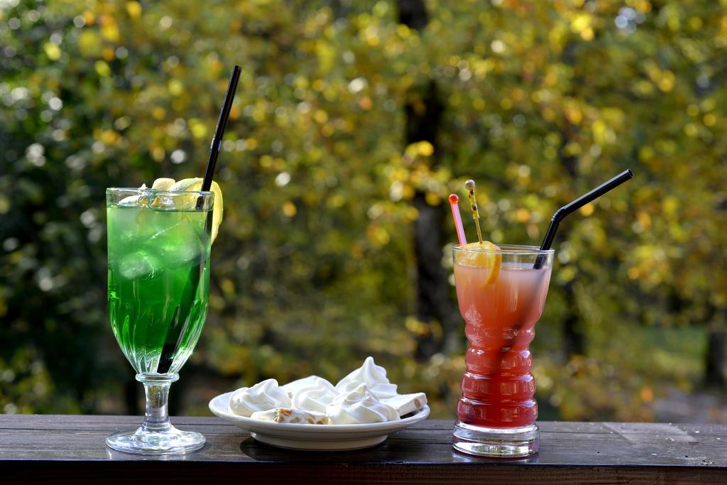 Le Bois Dormant-Hotel Restaurant & Spa Logis Hotel 샹파뇰 외부 사진