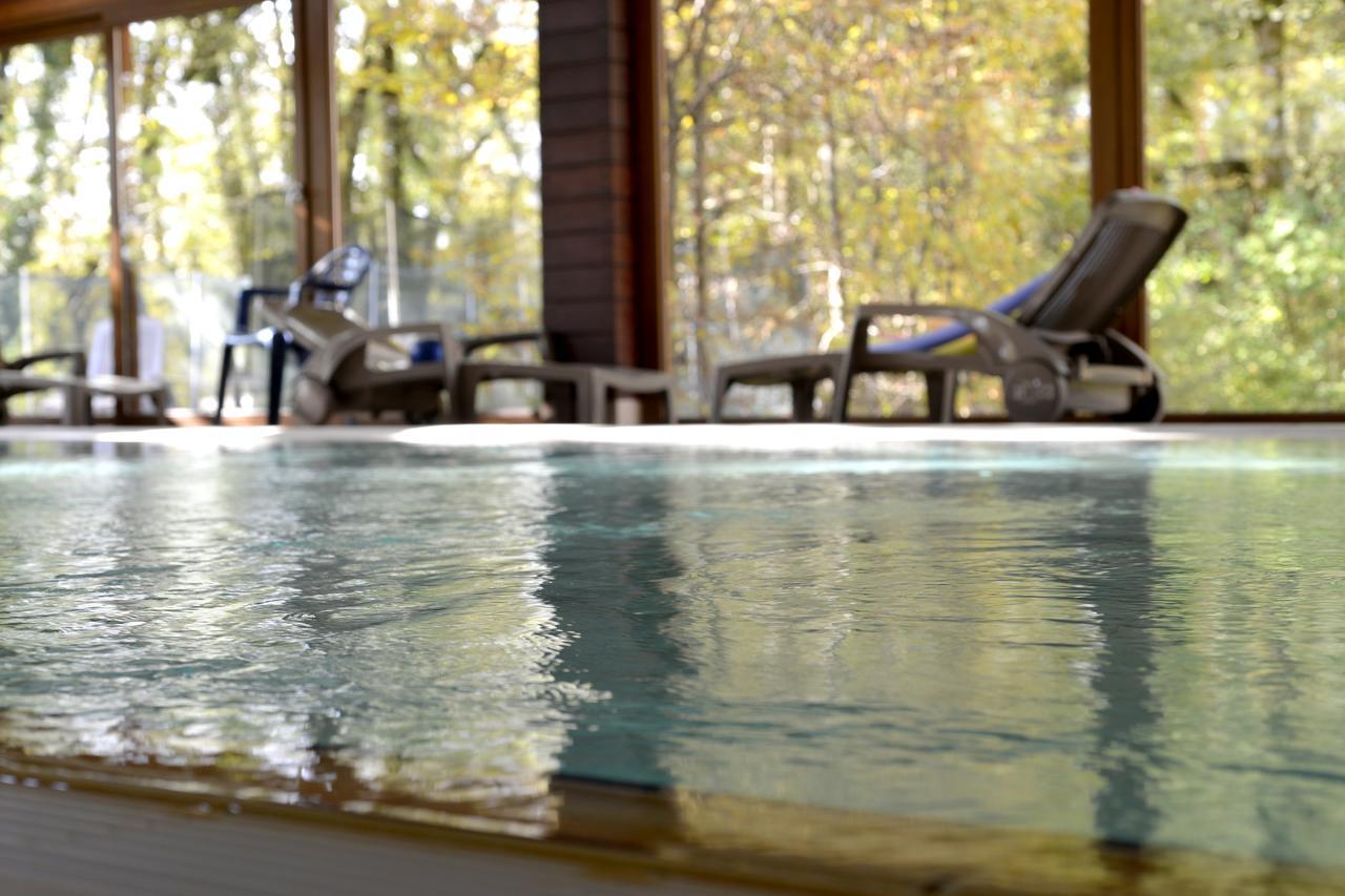 Le Bois Dormant-Hotel Restaurant & Spa Logis Hotel 샹파뇰 외부 사진